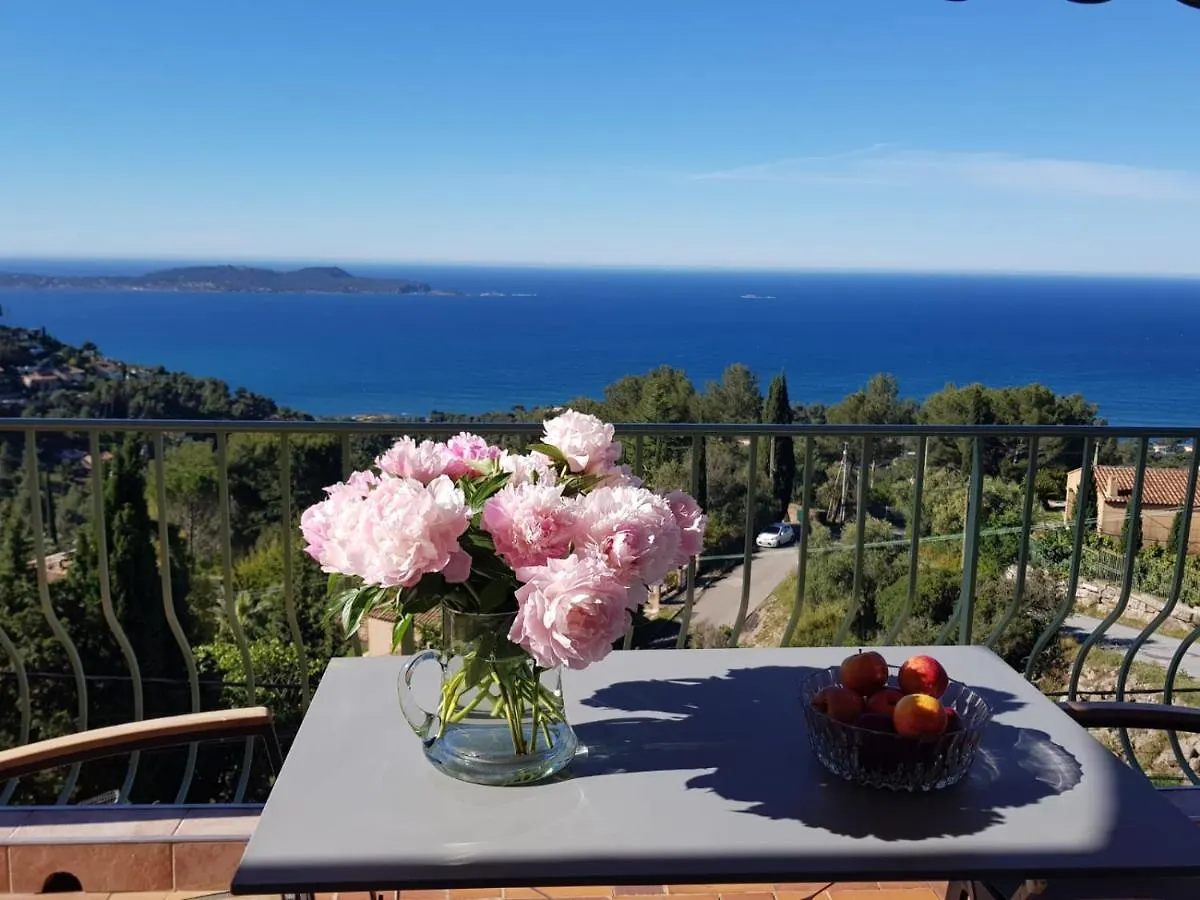 Villa Simone Carqueiranne